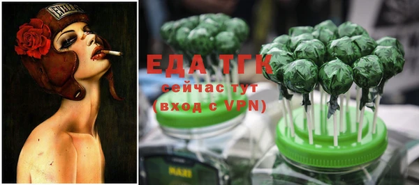 хмурый Алзамай