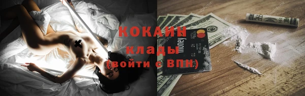 хмурый Алзамай