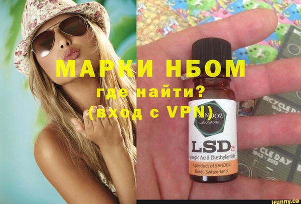 хмурый Алзамай