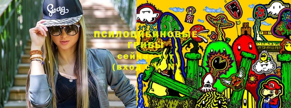спиды Алексеевка