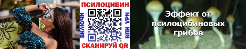 Псилоцибиновые грибы Cubensis купить наркотики сайты Иркутск